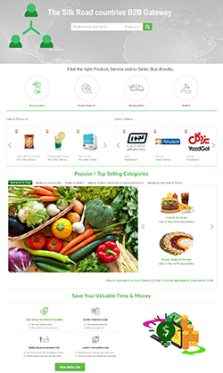 B2B eCommerce Portal Designing Thumb